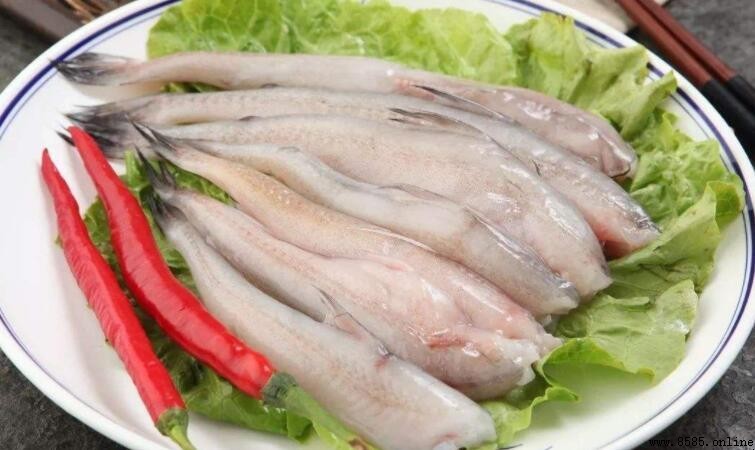 龍頭魚的生活習性