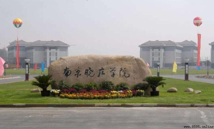 南京幼儿高等师范学校在哪里