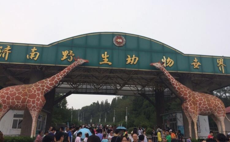 济南野生动物园地址及园区信息一览
