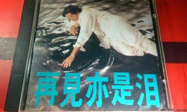 《再见亦是泪》歌词解析
