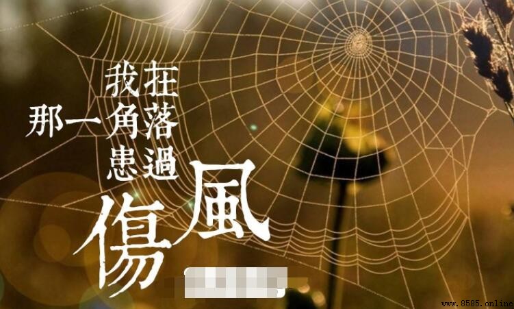 《我在那一角落患過傷風》歌詞
