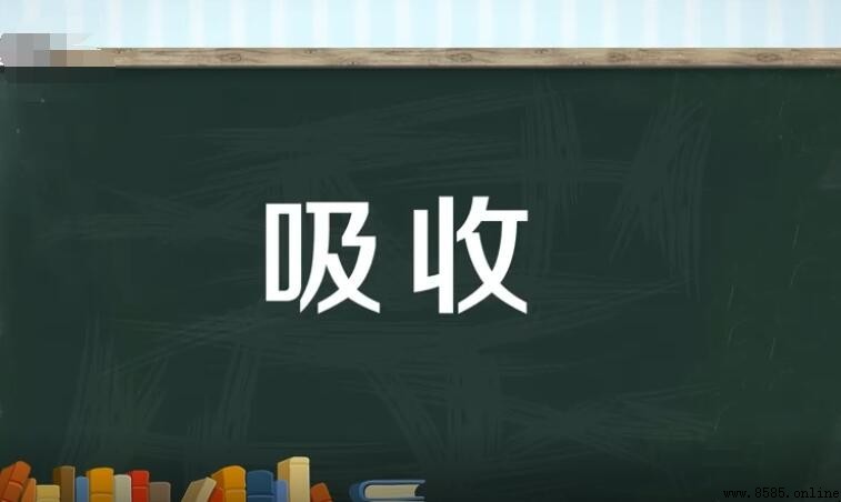 吸收的同義詞有哪些