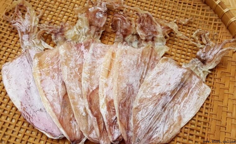 墨魚干與鱿魚干的差異解析