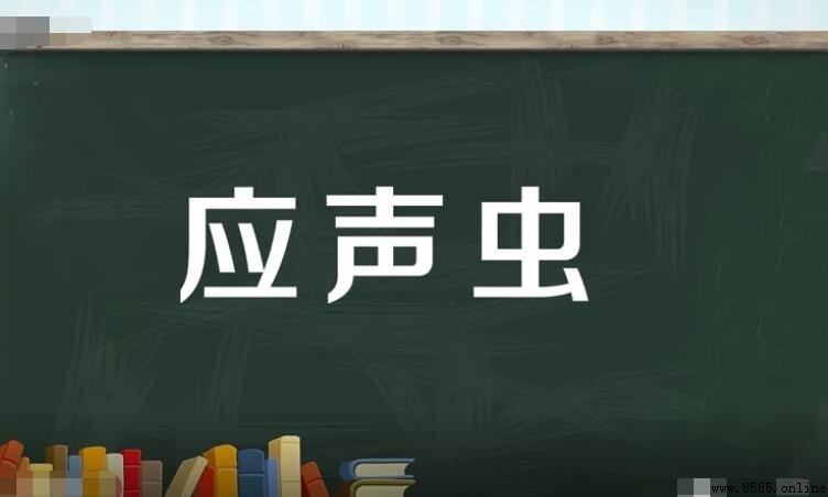 應聲蟲指哪類人