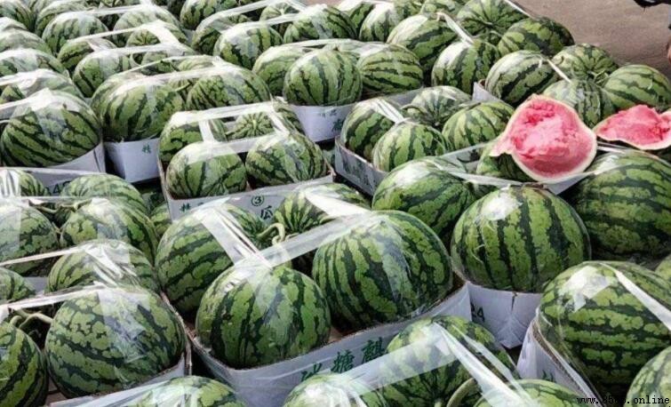 麒麟西瓜與普通西瓜的差異比較