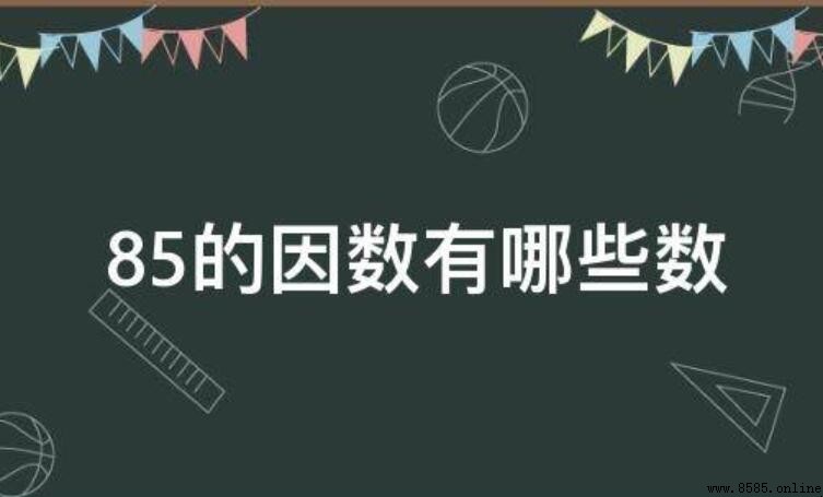 85 的因數有哪些
