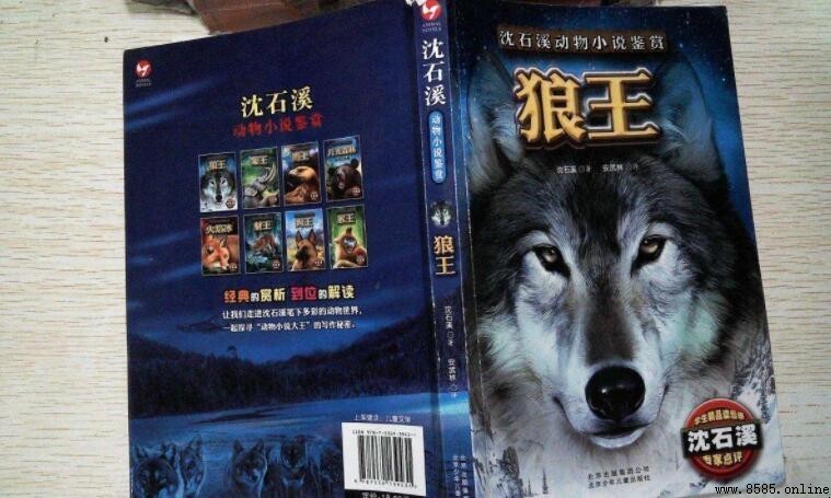 《狼王》讀後感怎麼寫？範文與心得分享