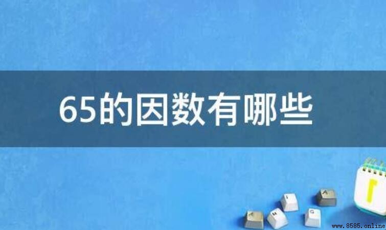 65的因數有哪些