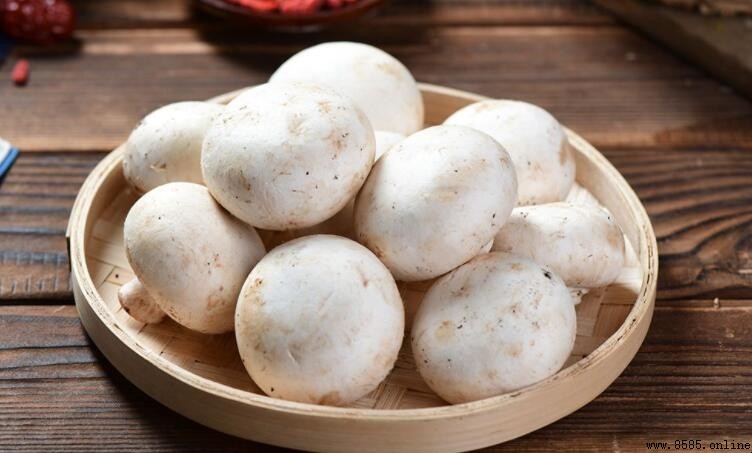 口蘑需要焯水嗎?解答與食用建議
