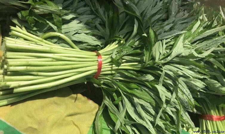 藜蒿是哪裡的特產?解析江西余干縣的特色野生美味