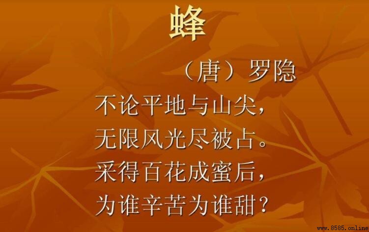 古詩《蜂》原文與大意解析羅隱《蜂》全詩