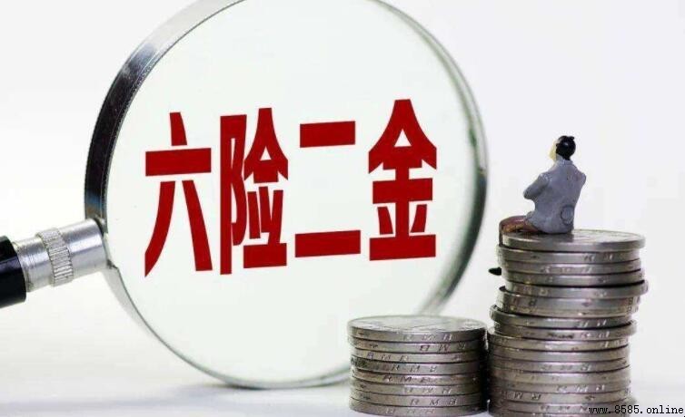 兩金是哪兩金?揭秘住房公積金與企業年金