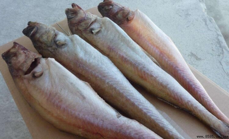 明太魚與鮭魚差別在哪裡?兩者是否為同一物種