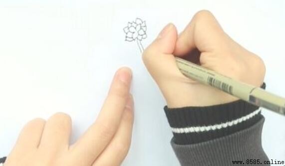 長壽花簡筆畫教程：六步完成生動插畫