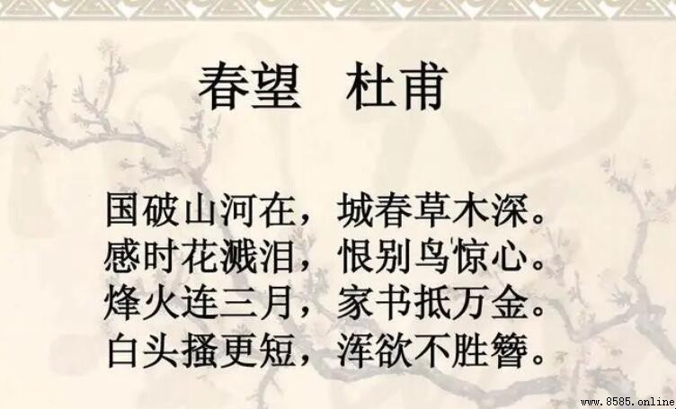 「春望」中「浑欲不胜簪」的上一句是什麼?