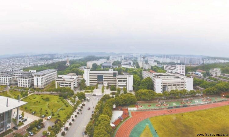 湖北高职高专院校有哪些？