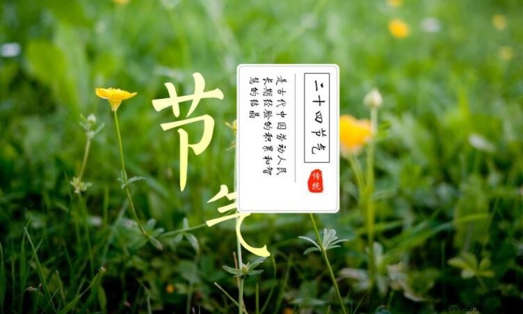 24節氣按農歷或陽歷計算？解析其與太陽運動的關係