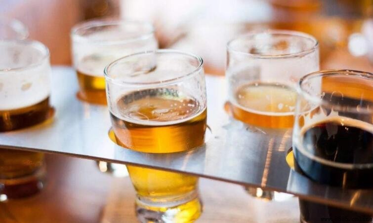 牛奶與啤酒能否同飲？科學解釋潛在影響