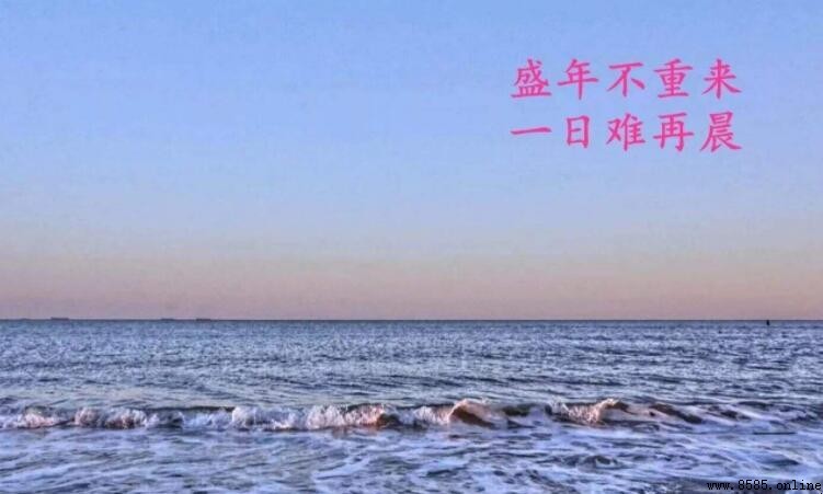 盛年不重來,一日難再晨:陶淵明《雜詩》名句解析