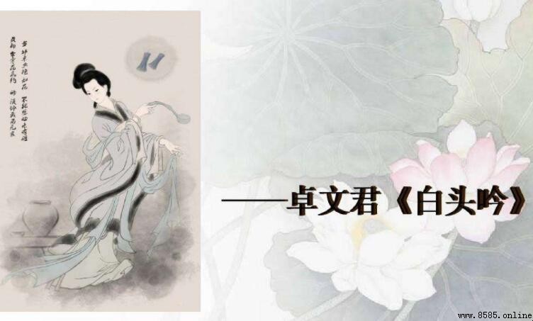 《白头吟》原文及译文