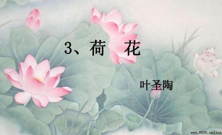 《荷花》讀後感怎麼寫：範文與心得分享