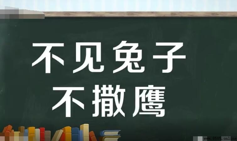 「不見兔子不撒鷹」的含義與起源