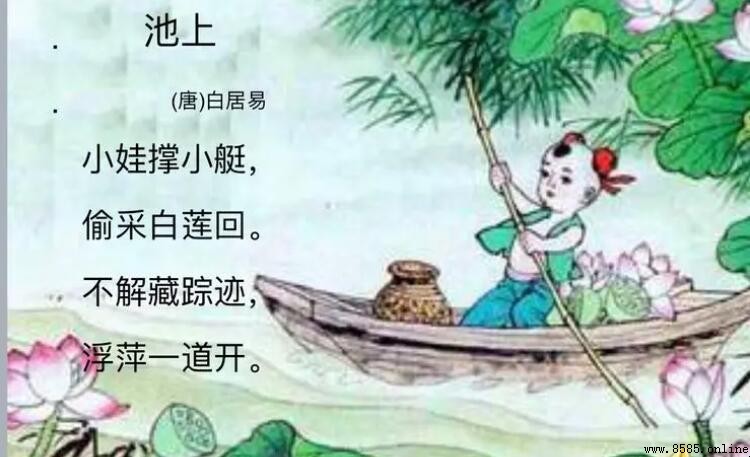 不解藏踪迹浮萍一道开的意思
