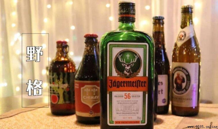野格是什麼酒?深度解析其特色與喝法