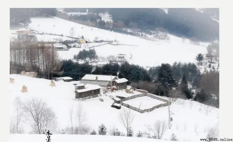 《雪》的作者是谁