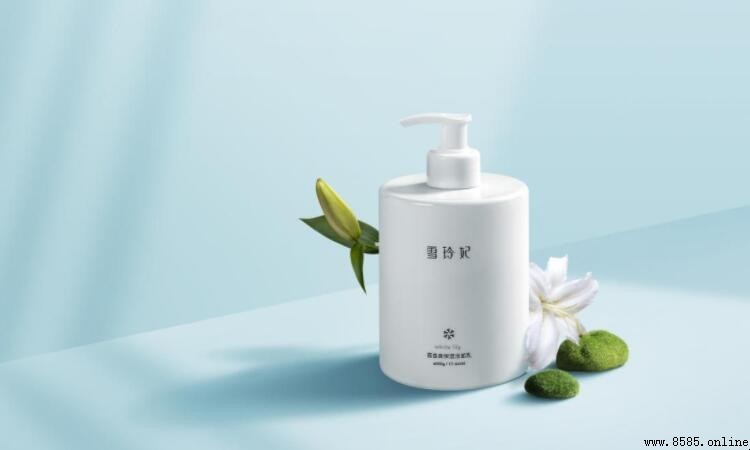 雪玲妃洗面奶評價與使用體驗解析