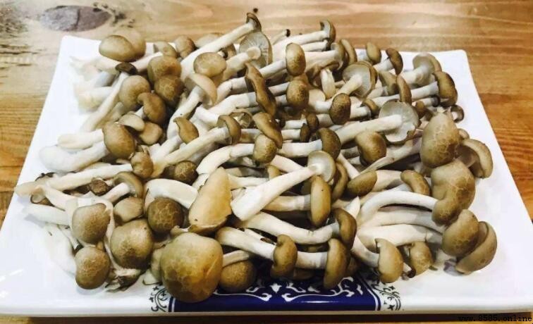 蟹味菇為什麼要焯水?去除腥味的關鍵步驟