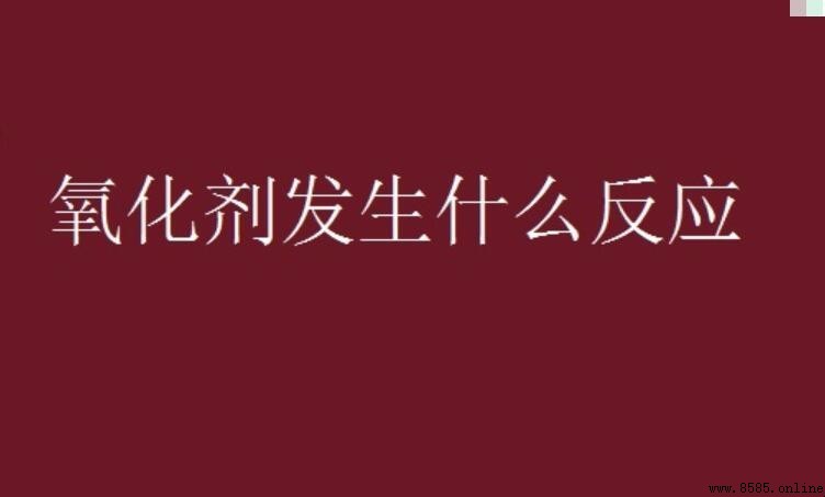 氧化劑的化學反應解析