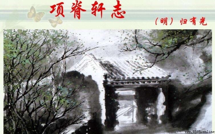 「三五之夜」的「三五」是什麼?解析古文中的數字表達