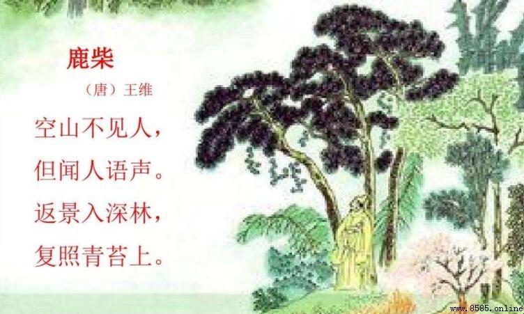 返景入深林復照青苔上 意思解析