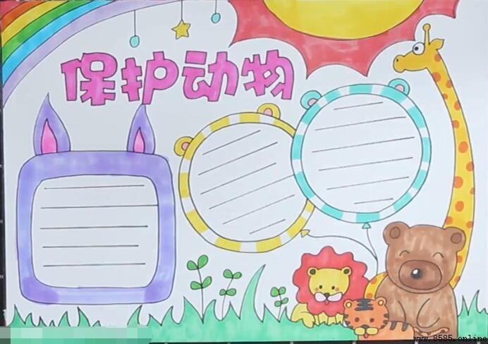 保護動物手抄報繪畫步驟教學