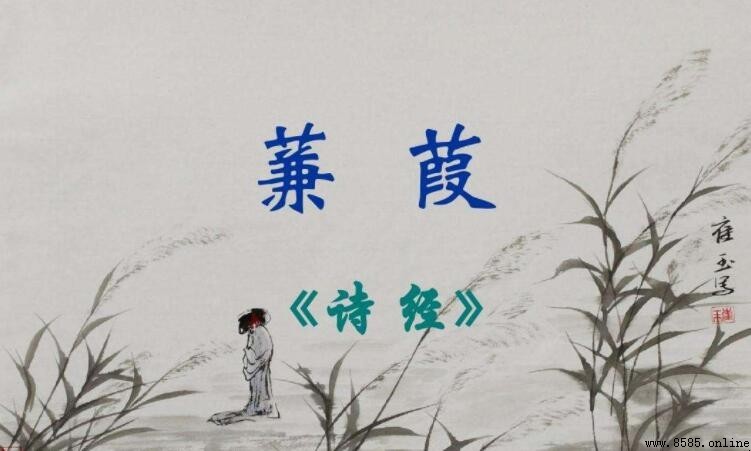 《蒹葭》的原文、譯文與大意解析