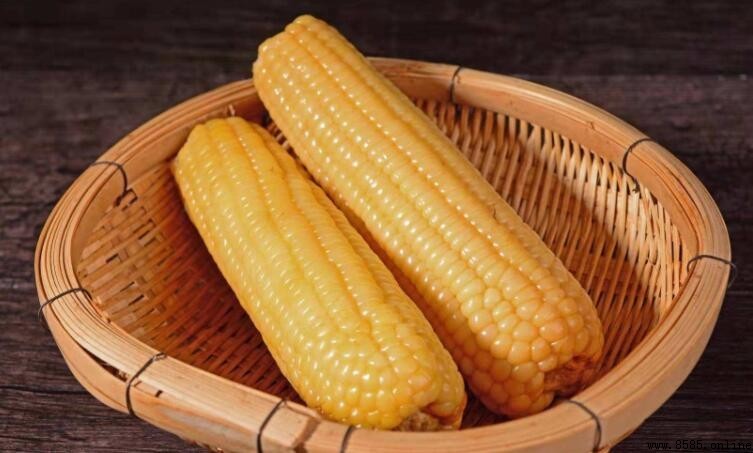 糯玉米熱量解析:一根含多少大卡?