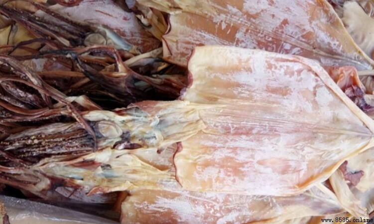 干鱿魚冷藏還是冷凍?保存方法全解析