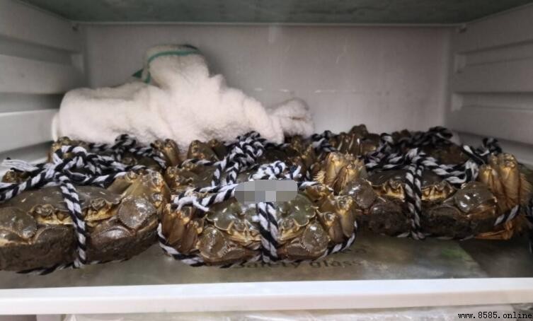 螃蟹冷藏為什麼要蓋上濕毛巾?