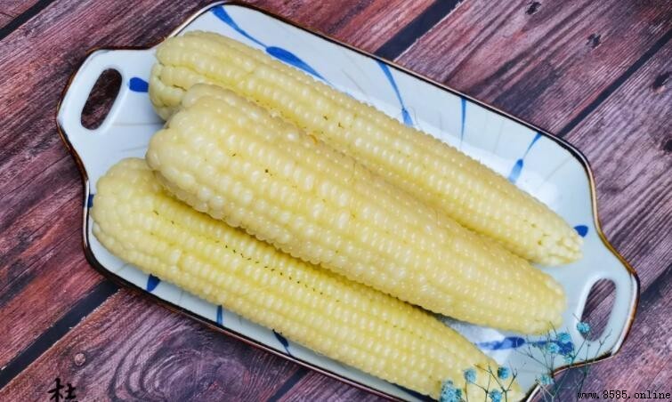 玉米是否屬於碳水化合物?解析其營養成分