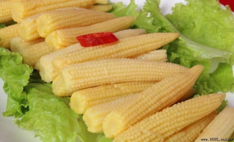玉米筍的功效與作用