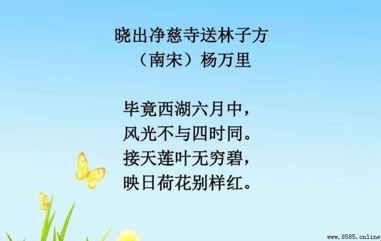 映日荷花别样红是什么季节