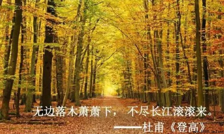 無邊落木蕭蕭下下一句