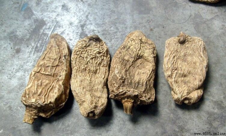 貴州特產三寶:黔地珍貿你不可不知