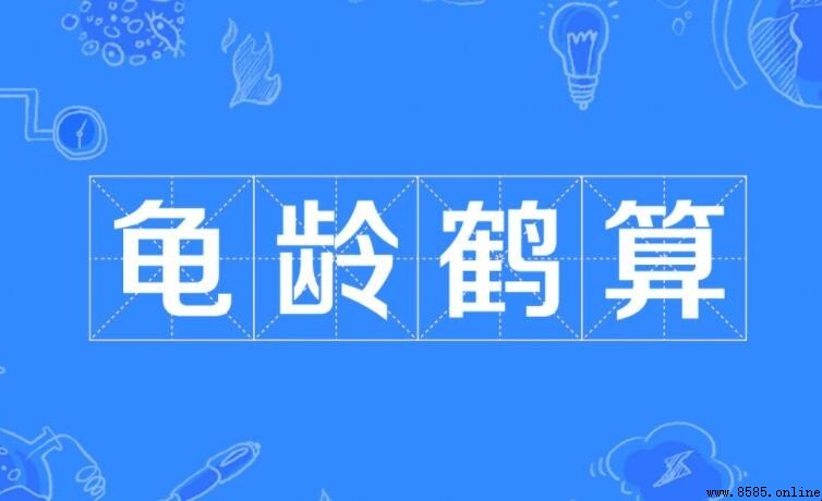 龜齡鶴算的意思