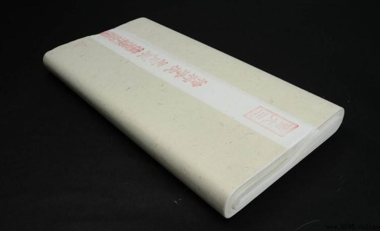 淨皮宣紙是什麼紙