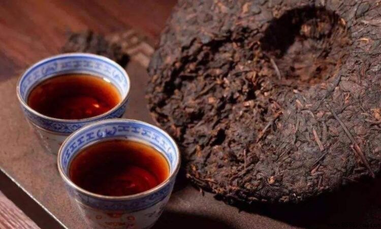 普洱茶是發酵茶嗎？解析普洱茶類型與發酵過程