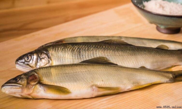 三去香魚別名解析:它還被稱為什麼魚?
