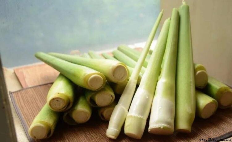 有黑點的茭白能夠食用嗎