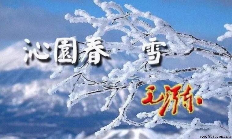 千里冰封万里雪飘的含义与意境解析